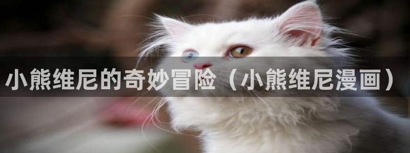 喵趣二次元漫画下载：小熊维尼的奇妙冒险（小熊维尼漫画）