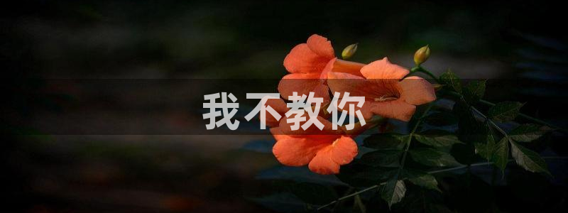 喵趣漫画正：我不教你