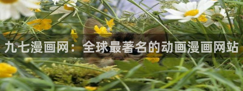 喵趣漫画安装包：九七漫画网：全球最著名的动画漫画网站