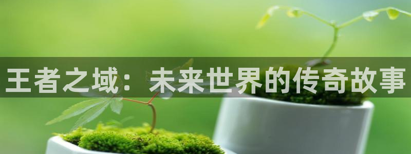 喵趣漫画怎么登录：王者之域：未来世界的传奇故事