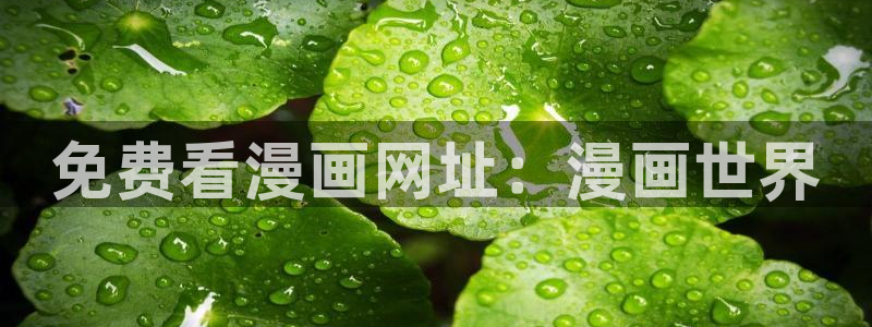 喵趣漫画无广告版最新版本下载