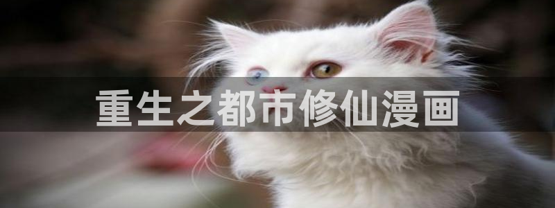 喵趣漫画复活