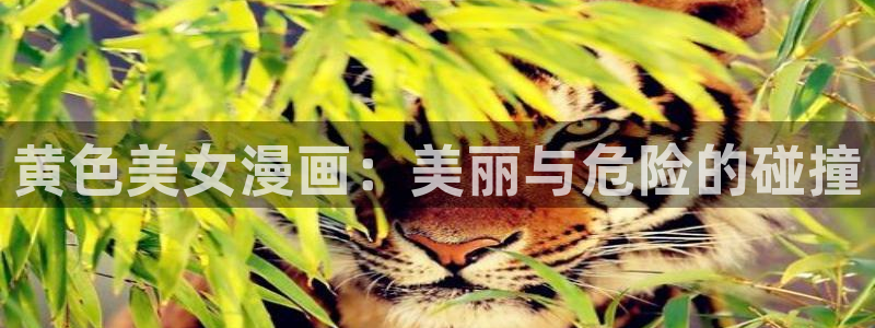 喵趣漫画复活版app下载
